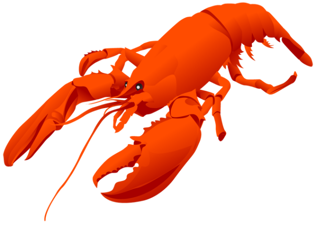 Clip Art Of A Lobster   Dixie Allan