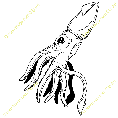 Cute Squid Clipart Squid Clip Art
