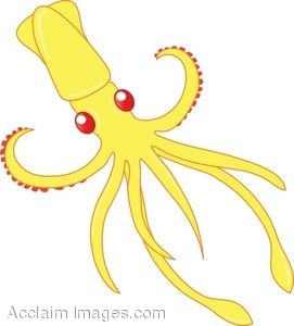Cute Squid Picture