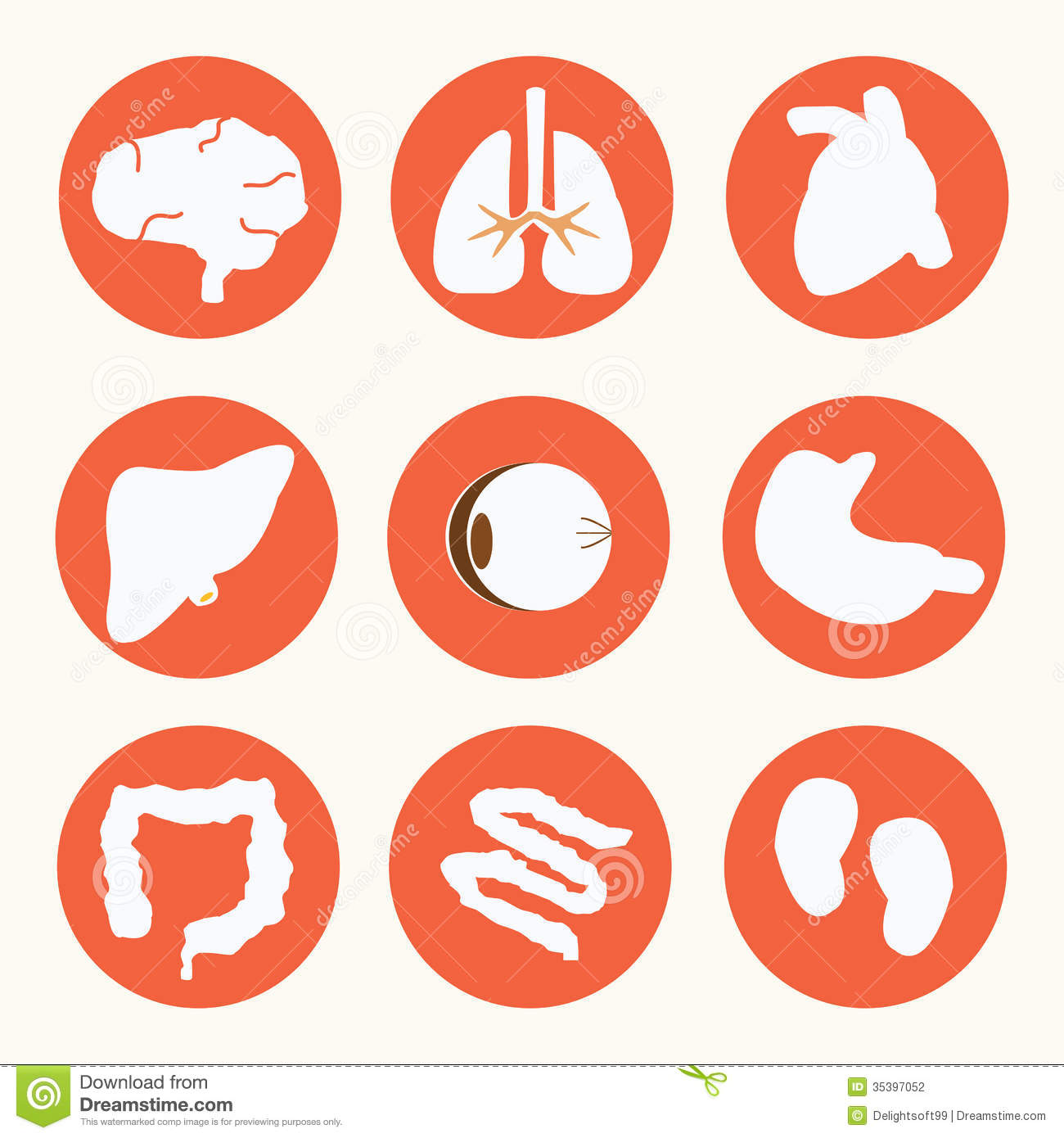 Dk Human Body System Clipart   Cliparthut   Free Clipart