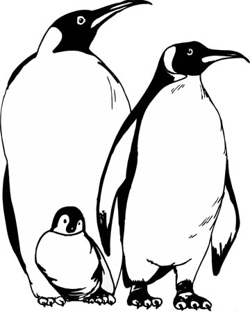 Penguin Coloring Pages   Clipart Panda   Free Clipart Images