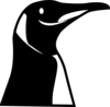 Penguin Head Clip Art At Clker Com   Vector Clip Art Online Royalty