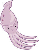 Squid Clip Art And Stock Illustrations  240 Squid Eps Illustrations