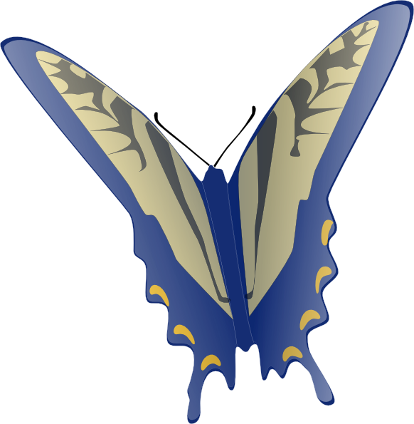 Animated Butterfly Clipart  Butterfly Clip Art