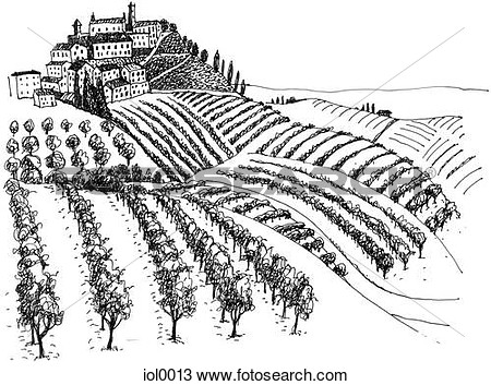 Black And White Ink Drawing Of A Vineyard  Fotosearch   Search Clipart