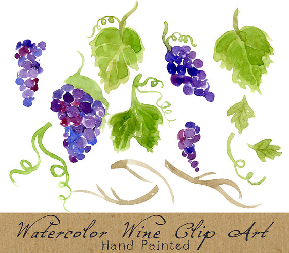Digital Clipart Vineyard Clip Art Watercolor Grapes Foliage