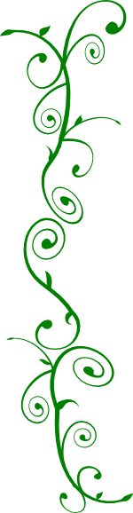 Green Curls Clip Art At Clker Com   Vector Clip Art Online Royalty