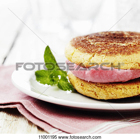 Stock Image   Raspberry Sorbet And Snickerdoodle Sandwich  Fotosearch
