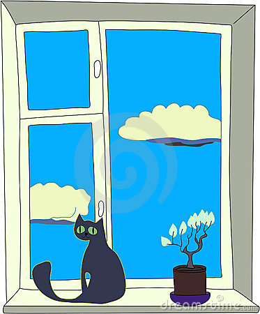 The Cat Sits On A Window Sill Nearby There Is A Flower In The Cloud