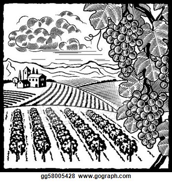 Vector Art   Vineyard Landscape Black And White  Clipart Drawing