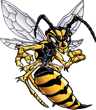 36539d1260218695 Angry Bee Hornet Ist2 4586240 Hornet Jpg