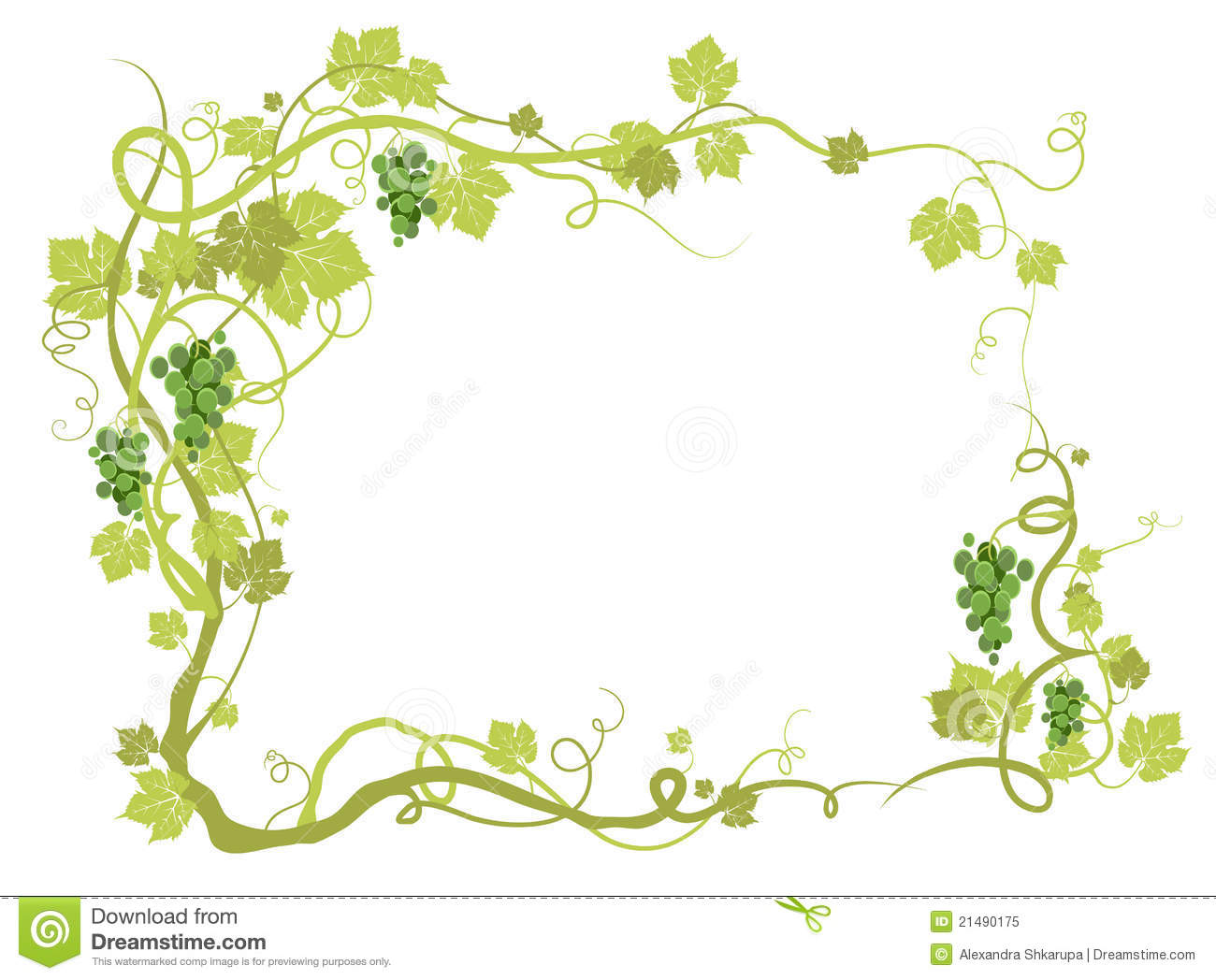 Green Vineyard Frame Royalty Free Stock Photo   Image  21490175