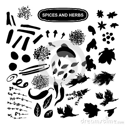 Spices And Herbs Black Silhouette On A White Background A Large Set 