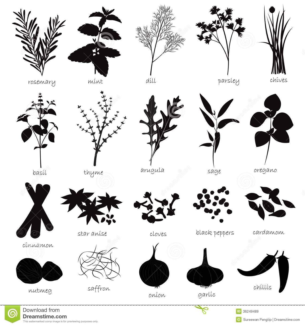 Vector Set Of Herbs And Spices Royalty Free Stock Images   Image