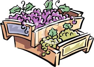 Vineyard Clipart Two Crates Grapes 101113 220431 714009 Jpg