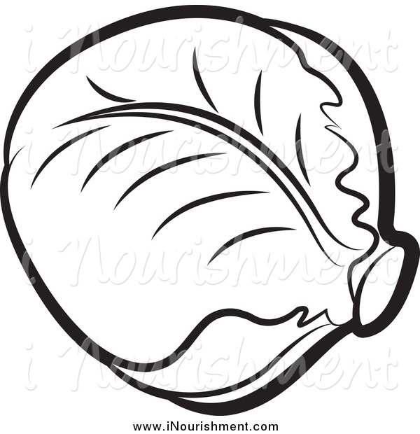 And White Head Of Cabbage Nourishment Clip Art Lal Perera