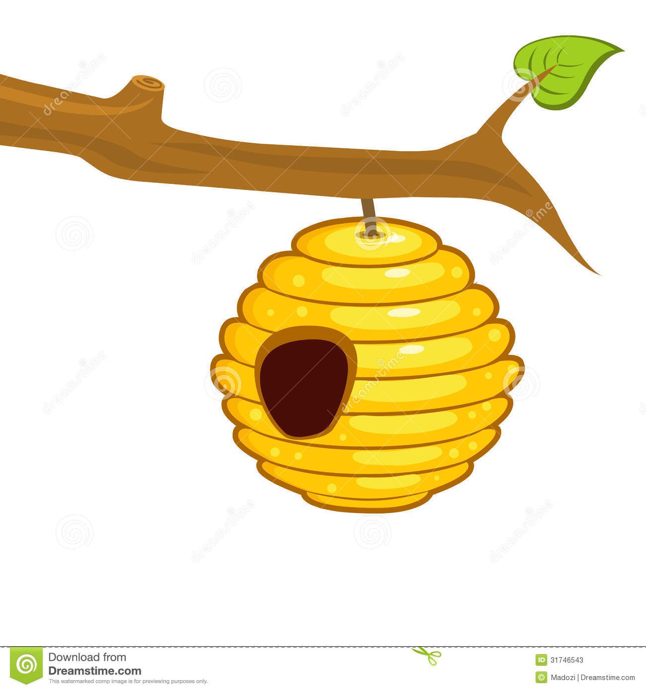 Beehive Hanging From A Branch Stock Photos   Image  31746543