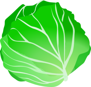 Cabbage Clip Art At Clker Com   Vector Clip Art Online Royalty Free