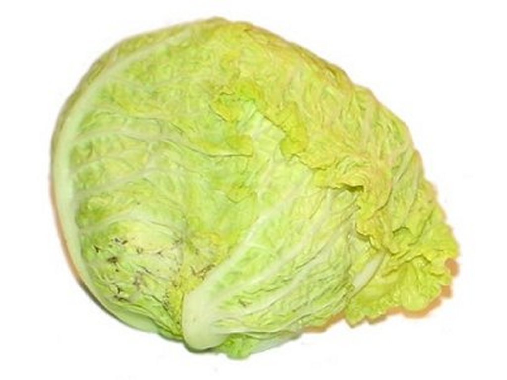 Cabbage Clip Art Pictures   Free Quality Clipart