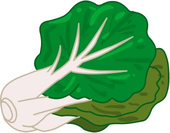 Cabbage Clipart Clipart0266 Jpg