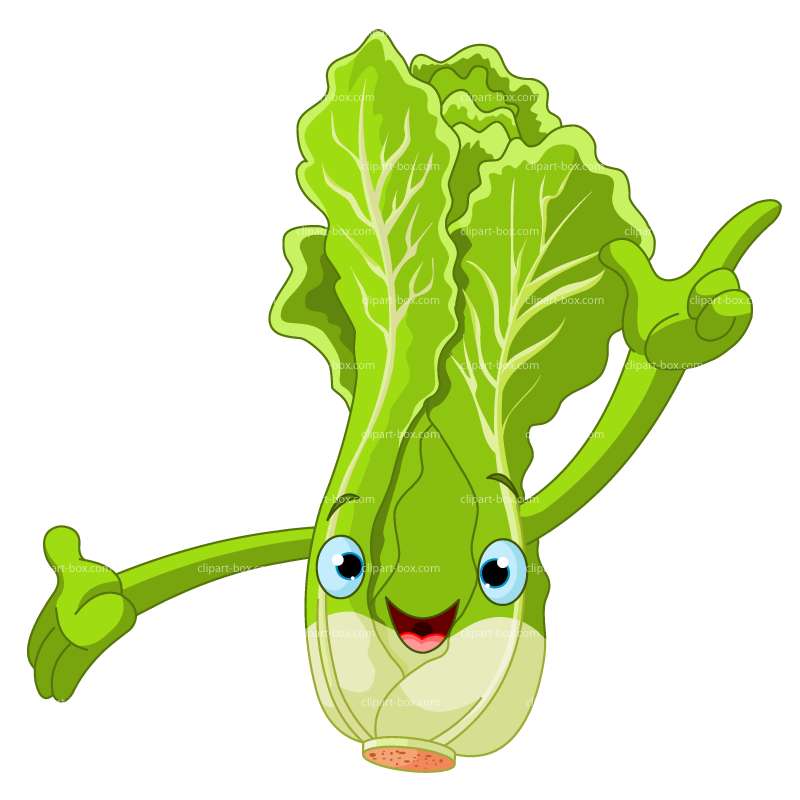Clipart Cabbage With Face   Royalty Free Vector Design