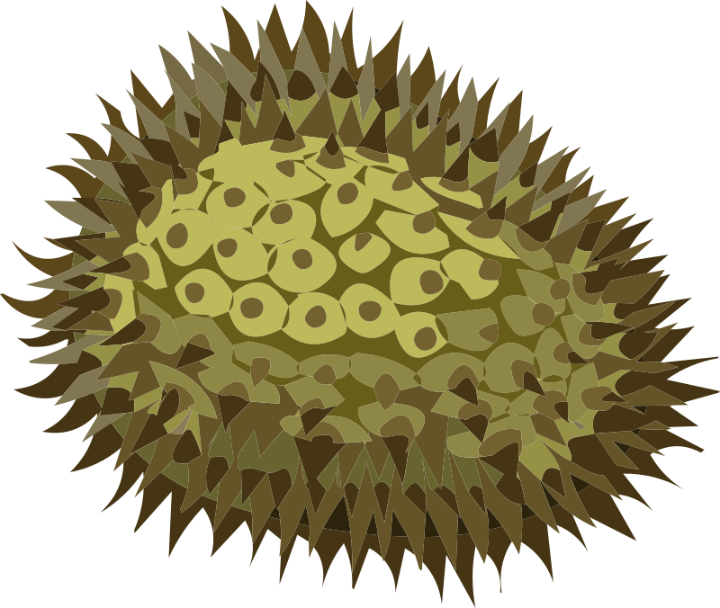 Clipart   Misc Durian