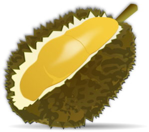 Durian Clip Art At Clker Com   Vector Clip Art Online Royalty Free    