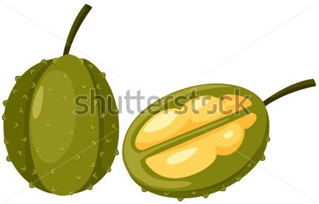 Durian Clip Art Vector Online Royalty Free Picture