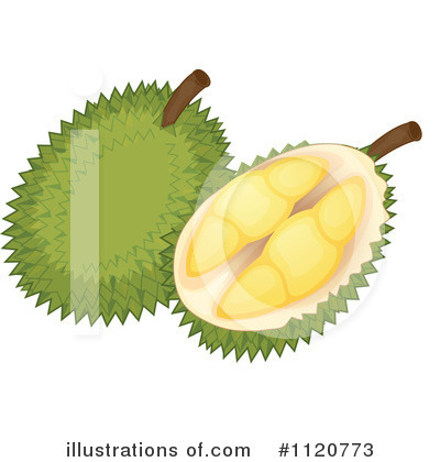 Durian Clipart  1120773   Illustration By Colematt