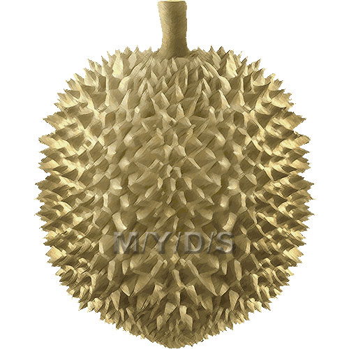 Durian Clipart Picture   Large