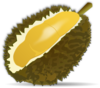 Durian Fruit Clip Art At Clker Com   Vector Clip Art Online Royalty