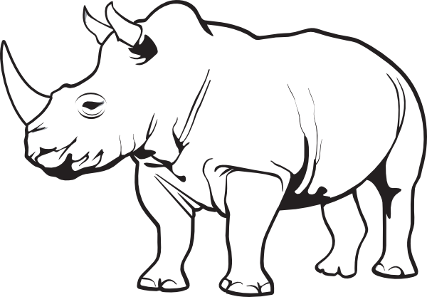 Rhinoceros Clip Art At Clker Com   Vector Clip Art Online Royalty    