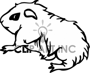 Rodent Rodents Animals Hamster Hamsters Bab0271 Gif Clip Art Animals