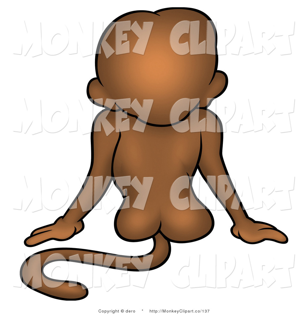 Sitting Brown Monkey Showing His Tail And Butt On White Gray Monkey