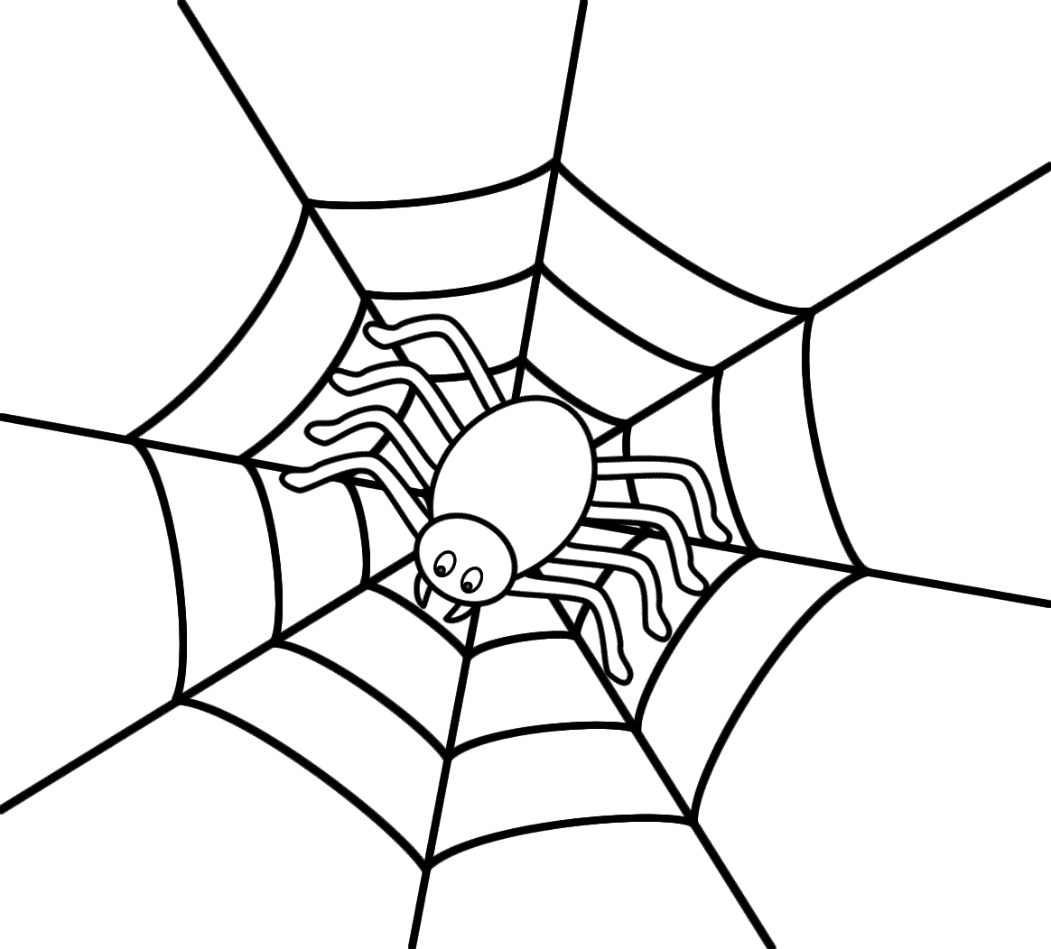 Spider On A Web   Coloring Pages