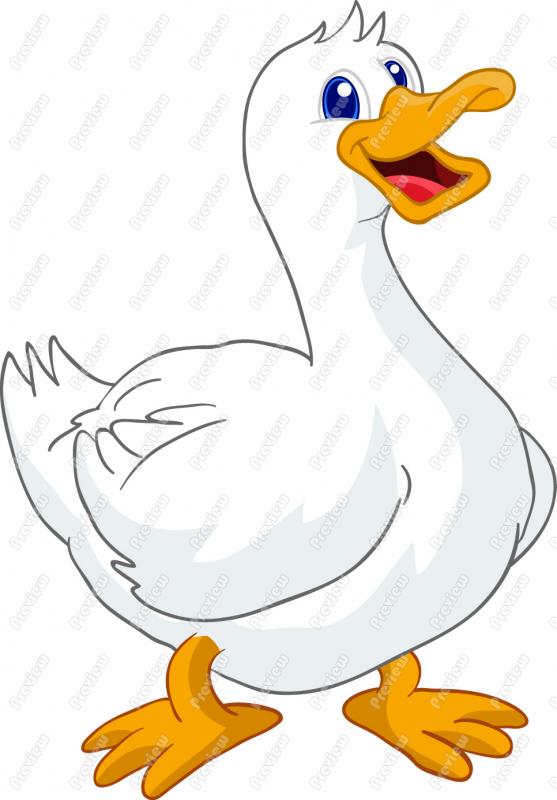 Cartoon Duck   Animalgals