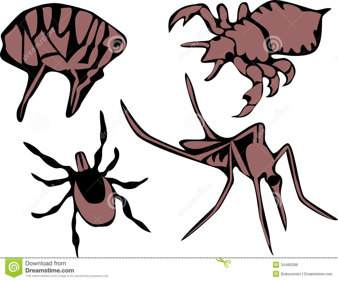 Flea Louse Tick And Mosquito   Two Colors Illustrations