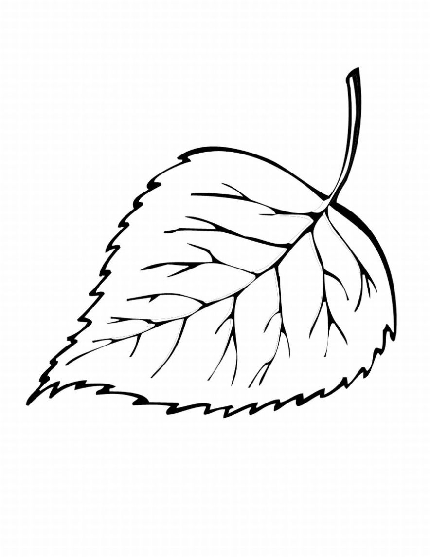 Free Printable Oak Leaf Templates Free Cliparts That You Can