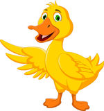 Funny Duck Cartoon Running Stock Photography   Image  34699742