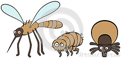 Illustration Of Human And Dog Parasites Mosquito Flea And Tick