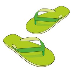 Isolated Beach Slippers Stock Vector