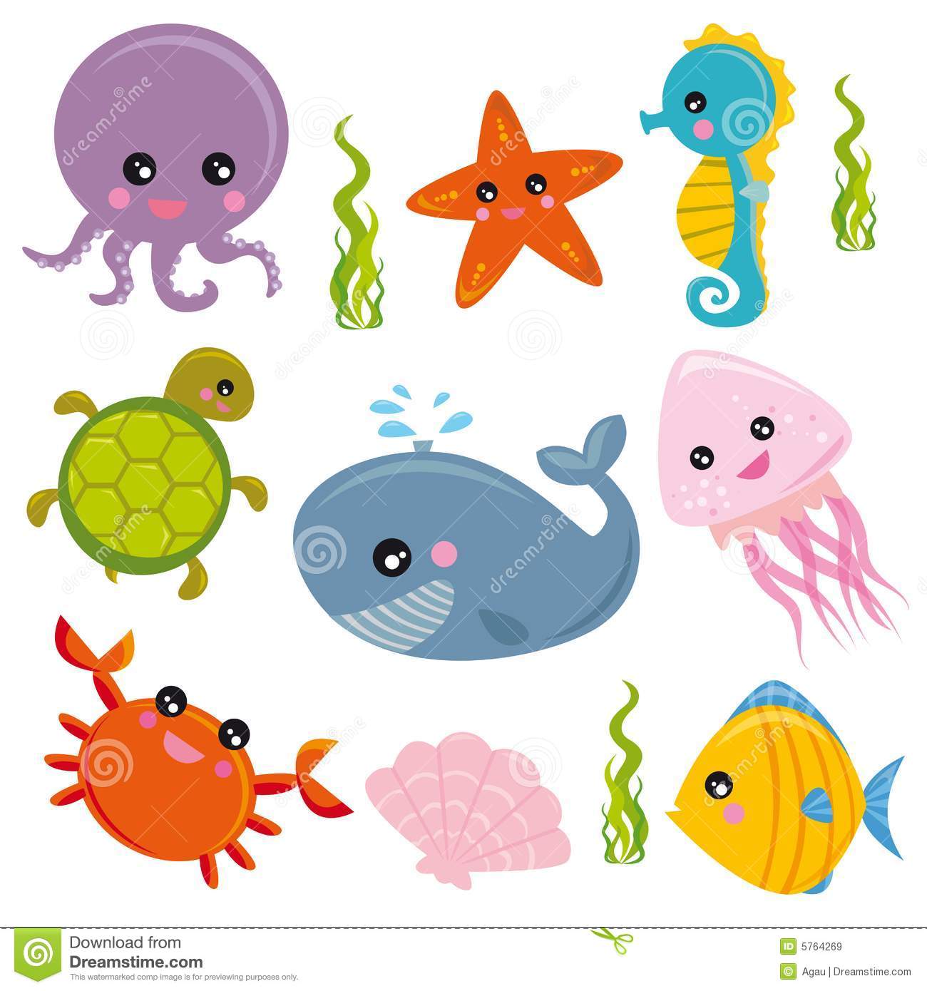 Sea Life  Group Of Marine Animals 