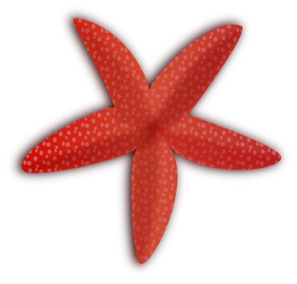 Starfish Clip Art At Clker Com   Vector Clip Art Online Royalty Free    