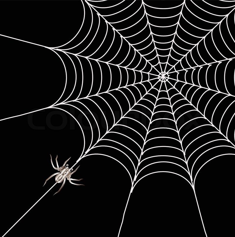 Stock Vektor Von  Spinnen Und Ein Web Auf Einem Schwarzen Hintergrund