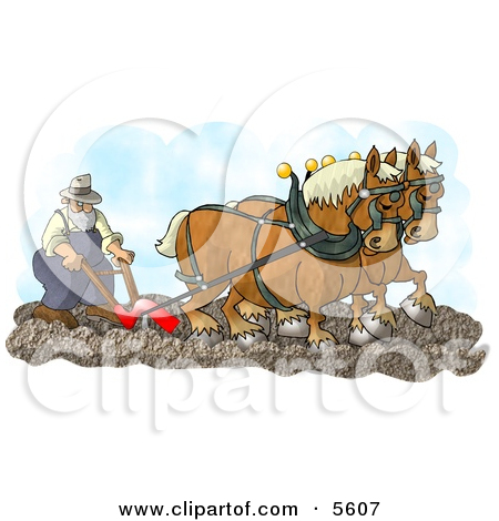 Belgian Horses Pulling A Farmer On A Plough Clipart Illustration By