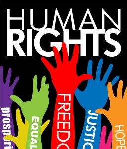 Eclaration Of Human Rights Aims To Highlight The Rights Of