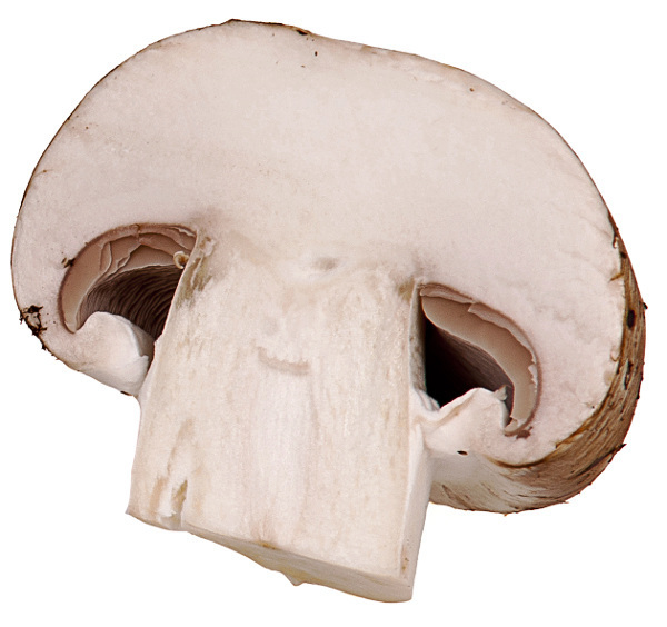      Mushroom Mushrooms 2 Baby Portabella Mushroom Sliced Jpg Html