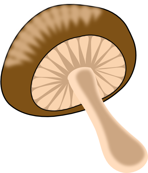 Mushroom Slice