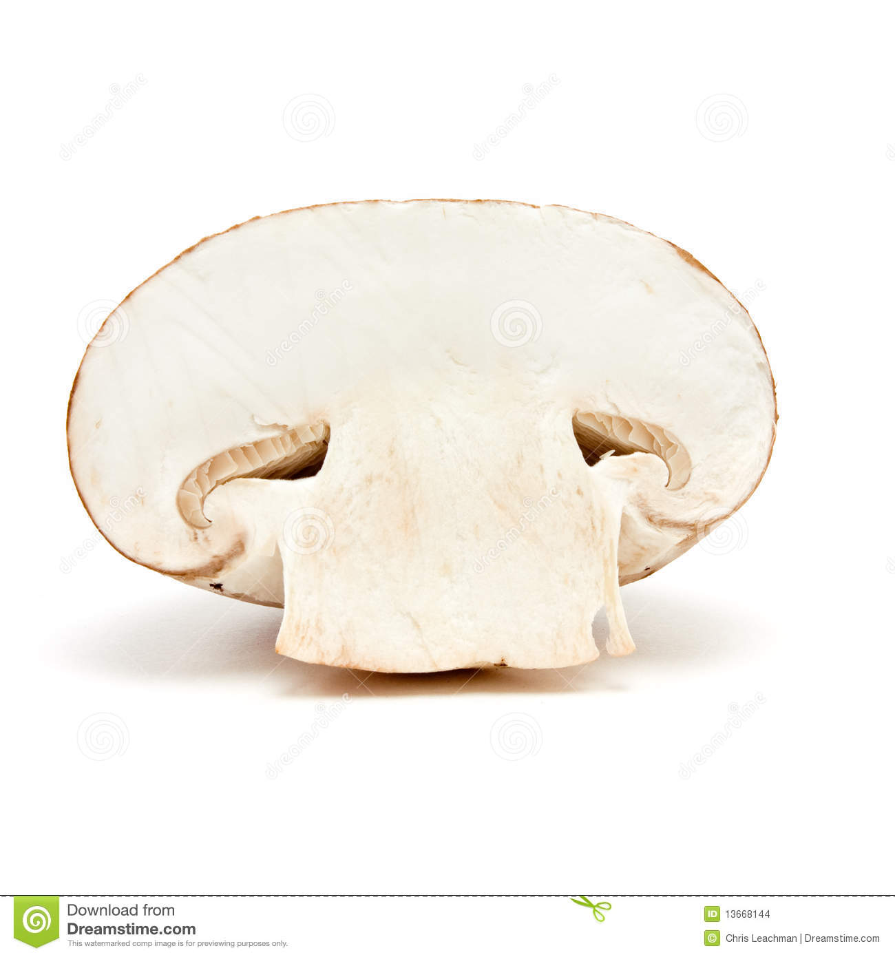 Sliced Chestnut Mushroom From Low Viewpoint Isolated Against White    
