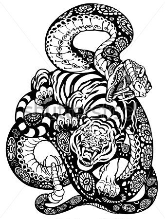 Snake And Tiger Fighting Black And White Tattoo Illustration Stock